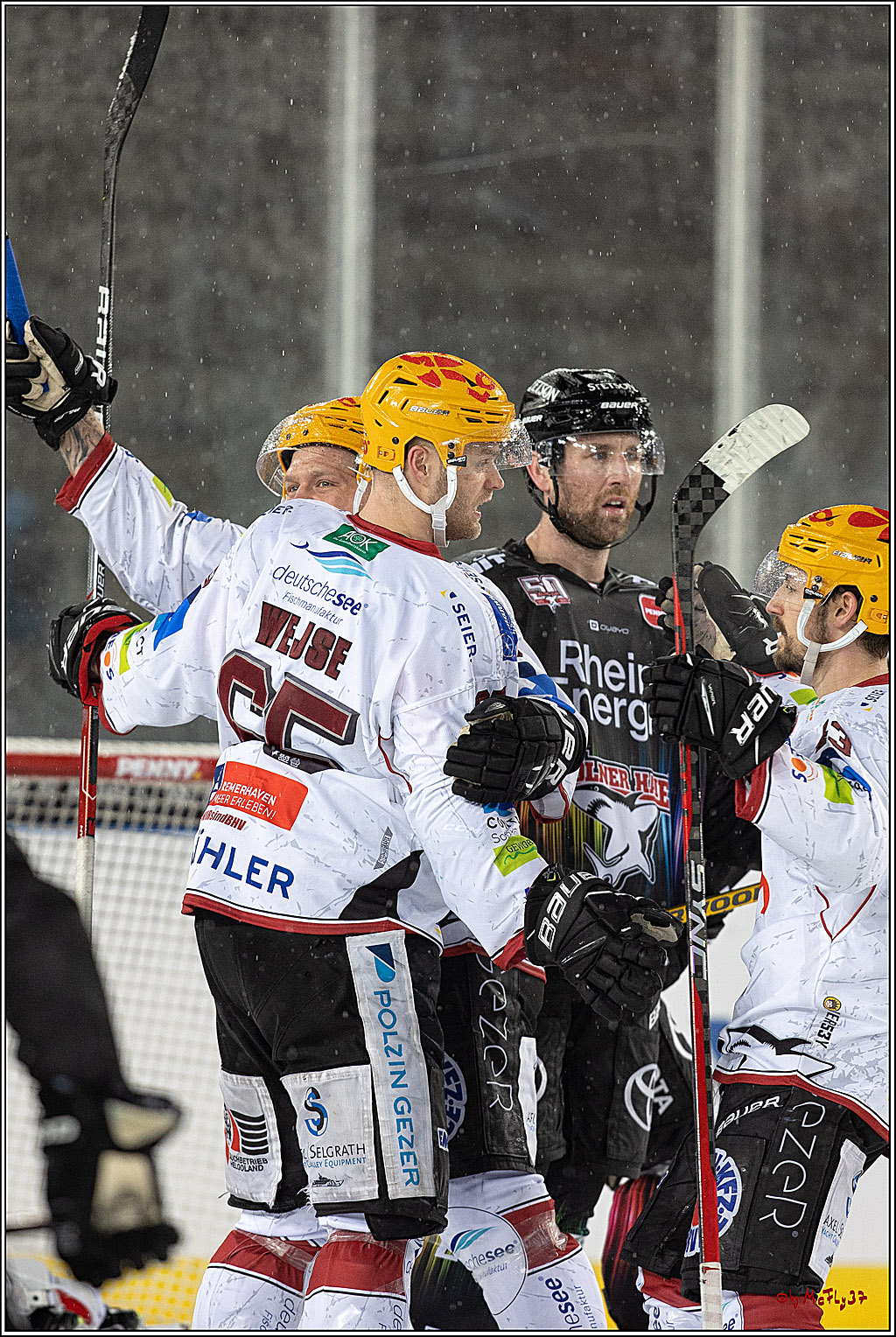 PENNY DEL;  Kölner Haie - Fischtown Pinguins; Köln, 22.12.2022
